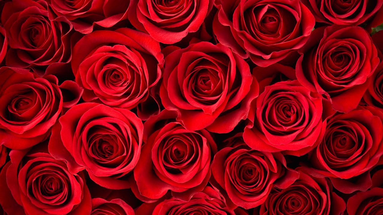 SAN VALENTINO CON VALENTINA MATTAROZZI